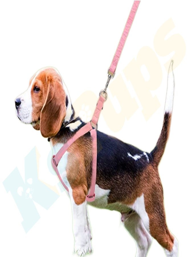 KsPups Nylon Adjustable Leash with Harness Set 0.5 Inch Puppy Harness for Small & Medium Dogs - 15 MM (Available As Per Color) - Image 4